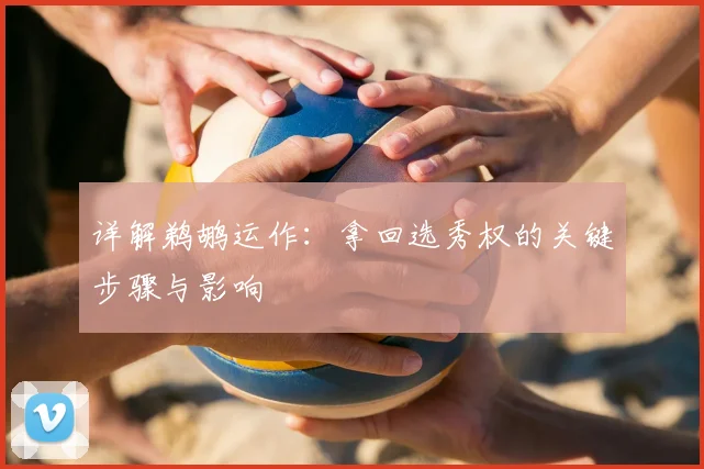 详解鹈鹕运作:拿回选秀权的关键步骤与影响